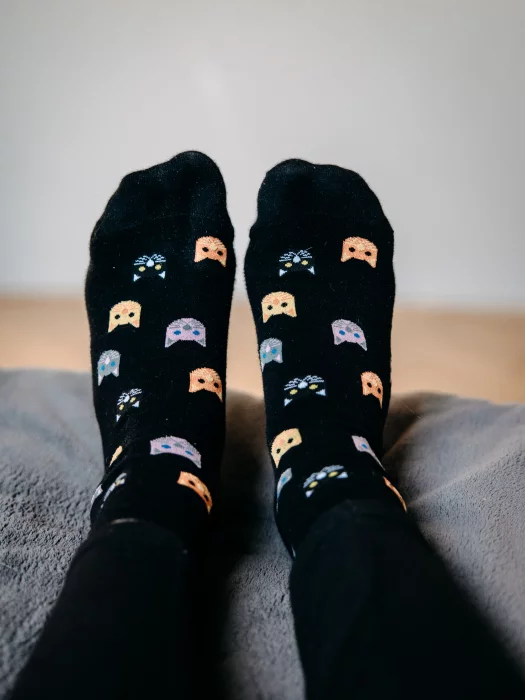 ponožky Felixa kočky